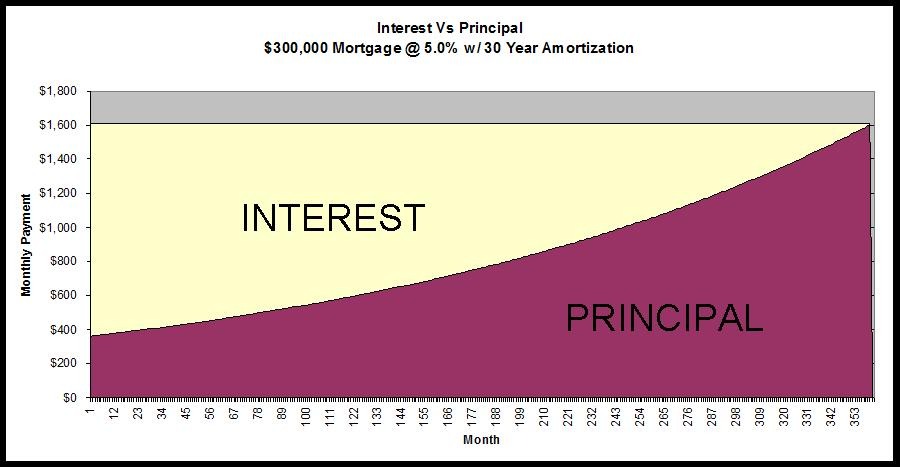 Payment Calculator Loan amortization chart showing principal and interest breakdown over time